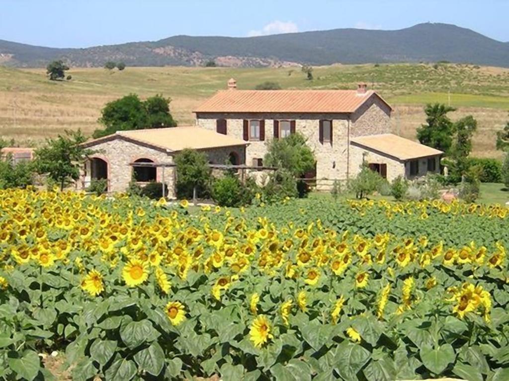 Affitti Brevi Toscana - Ospitalita In Toscana Fonteblanda Pokój zdjęcie